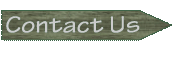 Conact Us